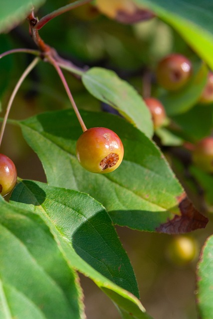 态远未达到 态远未达到