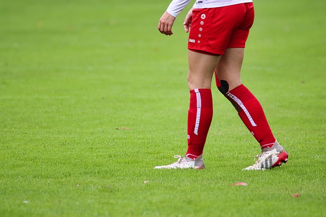 来给全联盟 来给全联盟