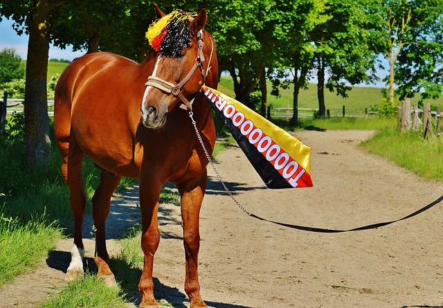 高出一截 高出一截